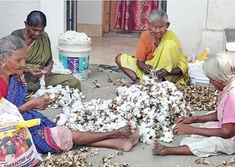 அருப்புக்கோட்டை | பருத்தி விலை கடும் வீழ்ச்சி: கிலோ ரூ.55-க்கு விற்பதால் வேதனை