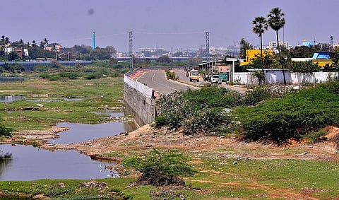 படம்: நா.தங்கரத்தினம்