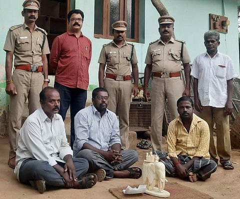 மதுரையில் யானை தந்தங்களாலான யானை பொம்மையை விற்பனை செய்த 3 பேரை வனத்துறையினர் கைது செய்தனர். இவர்களிடமிருந்து பறிமுதல் செய்யப்பட்ட யானை தந்தங்களாலான பொம்மை.