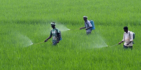 தற்கொலைக்கு காரணமாகும் அபாயகரமான 6 பூச்சிக்கொல்லி மருந்துகளுக்கு தடை நீட்டிப்பு