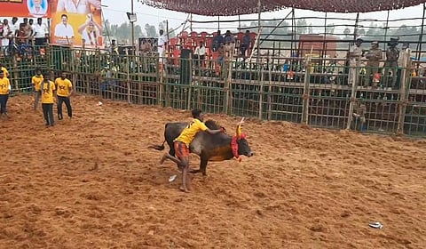 தருமபுரி | சோகத்தூரில் ஜல்லிக்கட்டு போட்டி - 500 காளைகள், 400 மாடுபிடி வீரர்கள் பங்கேற்பு