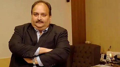 மெகுல் சோக்ஸிக்கு எதிராக ரெட் நோட்டீஸ் உத்தரவை மீண்டும் பிறப்பிக்க வேண்டும் - சிபிஐ வலியுறுத்தல்