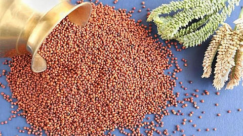 புதுச்சேரி ரேஷன் கடைகளில் மானிய விலையில் கம்பு, கேழ்வரகு, சோளம்: அரசு அறிவிப்பு
