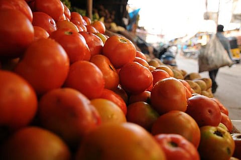 தக்காளி விலை சரிவு: ஒட்டன்சத்திரத்தில் ஒரு கிலோ ரூ.5-க்கு விற்பனை