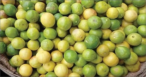 ஓசூர் உழவர் சந்தையில் விற்பனைக்கு வைக்கப்பட்டுள்ள எலுமிச்சை பழங்கள்.