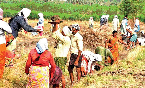 இடையிலாடும் ஊஞ்சல் 14 - ‘நூறு நாள்’ கோபங்கள்