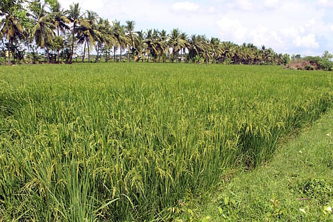 டெல்டா மாவட்டங்களில் புதிய நிலக்கரி சுரங்கம் அமைக்க எதிர்ப்பு - திட்டத்தை கைவிட மத்திய அரசுக்கு தமிழக கட்சிகள் கோரிக்கை