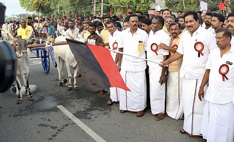 படங்கள் நா. தங்கரத்தினம்