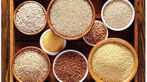 அருந்தானியம்: சிறு தானியம் எனும் ஆரோக்கியக் காவலன்