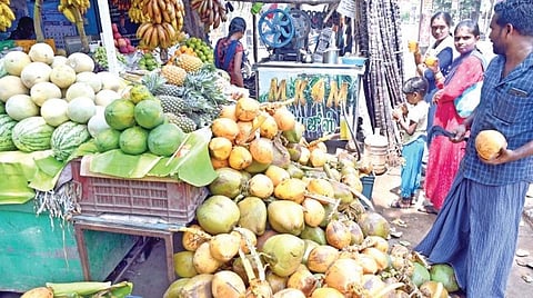 கோடை வெயில் காரணமாக தூத்துக்குடியில் இளநீர் வியாபாரம் விறுவிறுப்பாக நடைபெறுகிறது. படங்கள்: என்.ராஜேஷ்