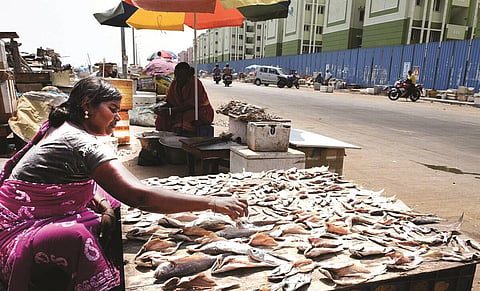 நொச்சிக்குப்பம்: மீனவர் துயரத்தின் புதிய குறியீடா?