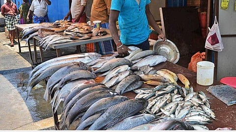 மீன்பிடி தடைக்காலம் எதிரொலி: தமிழகத்தில் மீன்கள் விலை உயர்வு