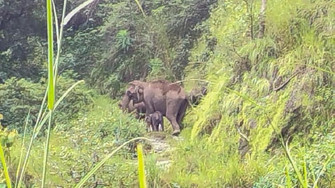 பிரதிநிதித்துவப் படம்