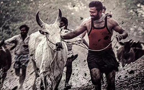 'இராவண கோட்டம்' படத்தில் சாந்தனு பாக்யராஜ்