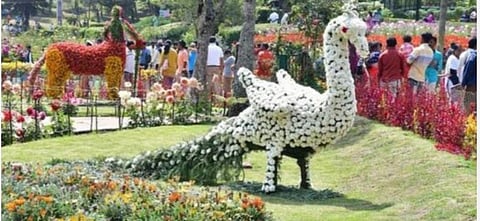 கொடைக்கானல் மலர் கண்காட்சி, கோடை விழா மே 26-ல் தொடக்கம்