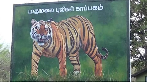 வன விலங்குகளால் ஏற்படும் ஆபத்தை உணராமல் முதுமலையில் அத்துமீறும் சுற்றுலா பயணிகள்