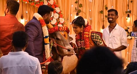 மதுரையில் ஜல்லிக்கட்டு காளையை சீராக கொண்டு சென்ற மணமகள்