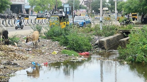 திருநெல்வேலி வண்ணார்பேட்டை தெற்கு புறவழிச்சாலையோரம் பராமரிப்பின்றி விடப்பட்ட கால்வாய்.