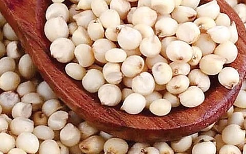 இதயத்தைக் காக்கும் சோளம்