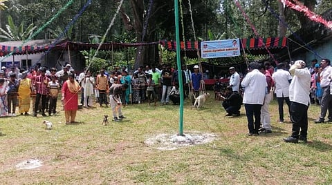 ஏற்காடு கோடை விழா நாளை நிறைவடைகிறது - சுற்றுலாப் பயணிகளை கவர்ந்த நாய்கள் கண்காட்சி