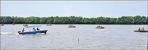 சிதம்பரம் அருகே பிச்சாவரம் சுற்றுலா மையத்தில் படகு சவாரி செய்த சுற்றுலா பயணிகள்.