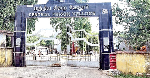 தின்பண்ட பிளாஸ்டிக் கவர்களால் மலைபோல் சேரும் குப்பை: மாற்றுவழி காண சுற்றுச்சூழல் ஆர்வலர்கள் கோரிக்கை