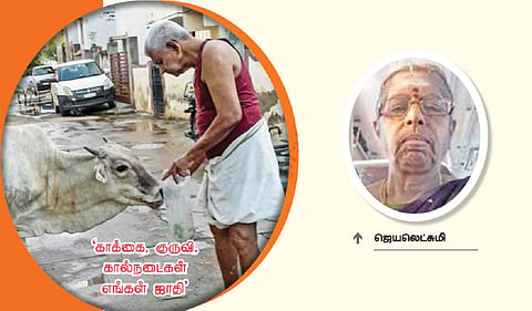 காக்கை, குருவி, கால்நடைகள் எங்கள் ஜாதி - மதுரையில் வாயில்லா ஜீவன்களின் பசியை போக்கும் வயோதிக தம்பதி