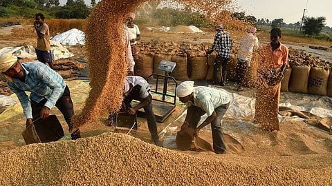 நெல், பருத்தி உள்ளிட்ட விளைபொருட்களுக்கான குறைந்தபட்ச ஆதரவு விலையை உயர்த்த மத்திய அமைச்சரவை ஒப்புதல்