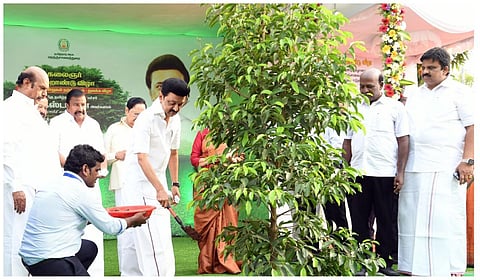 கருணாநிதி நூற்றாண்டு விழாவையொட்டி 5 லட்சம் மரக்கன்றுகள் நடும் திட்டத்தை முதல்வர் ஸ்டாலின் தொடங்கி வைத்தார்