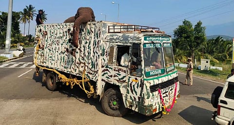 கேரள வனப்பகுதிக்குள் மீண்டும் அரிசிக்கொம்பன் நுழைய வாய்ப்பு: தமிழக, கேரள வனத்துறையினர் தீவிர கண்காணிப்பு