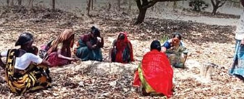 கும்மிடிப்பூண்டி அருகே மயானத்தில் அடிப்படை வசதி கோரும் இருளர்கள் - மயான அமைதியில் அதிகாரிகள்