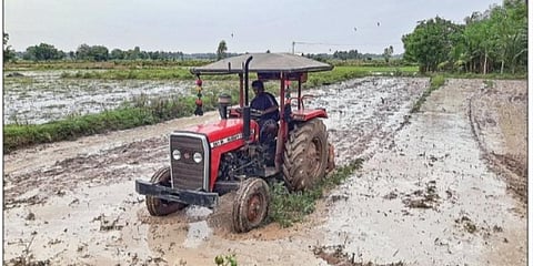 தஞ்சாவூர் அருகே காசவளநாடு தெக்கூரில் குறுவை சாகுபடி பணியில் ஈடுபட்டுள்ள விவசாயி. படம்: ஆர்.வெங்கடேஷ்