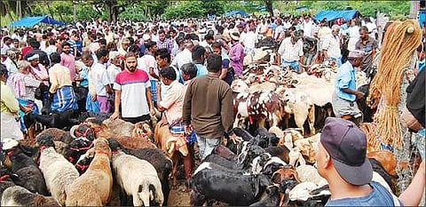 பக்ரீத் பண்டிகையையொட்டி நேற்று குந்தாரப்பள்ளி வாரச்சந்தையில் ஆடுகள் விற்பனை களைகட்டியது.