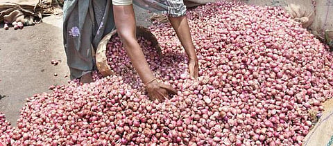 வரத்து குறைவால் விலை உயரும் சின்ன வெங்காயம்: விரைவில் கிலோ ரூ.100-ஐ தொடும் நிலை