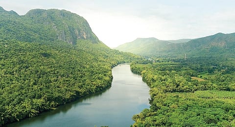 பூ பூக்கும் ஓசை - 2: லெகோ பொம்மை போன்றது சூழலியல்!