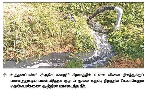 மாசடைந்த ஓசூர் கெலவரப்பள்ளி அணை நீரால் விளை நிலங்களில் மண் வளம் பாதிக்கும் அபாயம்