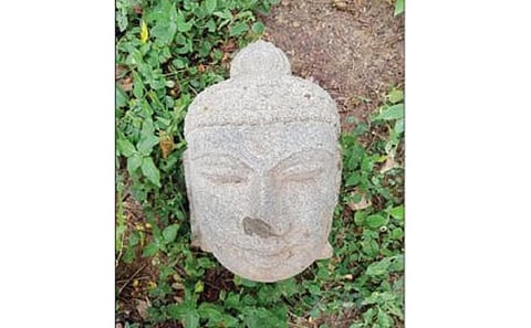 கும்பகோணம் அருகே கீழப் பழையாறையில் கண்டெடுக்கப்பட்ட புத்தர் சிலையின் தலைப் பகுதி.