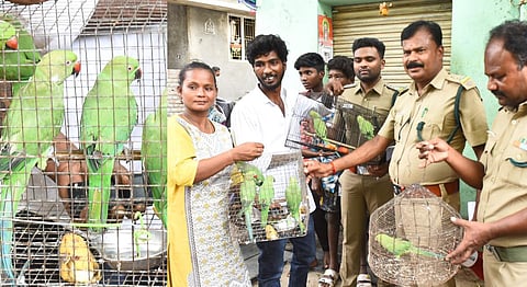 மதுரை செல்லூர் பகுதியில் வனத்துறையின் விழிப்புணர்வு அறிவிப்பால் வீட்டில் வளர்த்த கிளிகளை வனத்துறையினரிடம் ஒப்படைத்தனர். | படம்: எஸ்.கிருஷ்ணமூர்த்தி