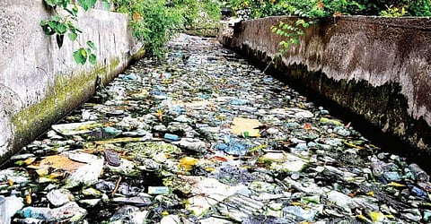 கழிவு நீர் கால்வாயாக மாறிய 13 மழைநீர் கால்வாய்கள் - மதுரை நகரில் பரவும் டைபாய்டு, மஞ்சள் காமாலை நோய்கள்