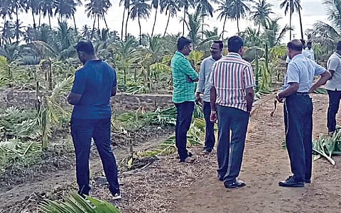 நாமக்கல் மாவட்டம் ஜேடர்பாளையம் அருகே சின்னமருதூர் கிராமத்தில் மர்ம நபர்களால் பாக்கு மர கன்றுகள் வெட்டி சாய்க்கப்பட்ட தோஒட்டத்தில்
விசாரணை நடத்திய போலீஸார்.