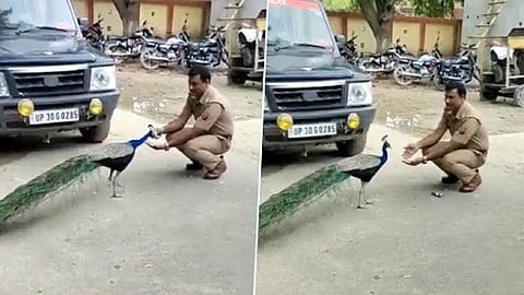 மயிலுடன் போலீஸ் அதிகாரி