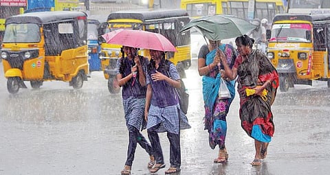மதுரையில் கொட்டிய கனமழை: 100-க்கும் மேற்பட்ட மரங்கள் விழுந்தன