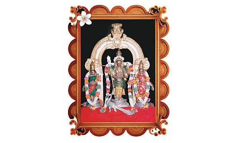 தித்திக்கும் திருப்புகழ் நாயகன் 22: சிக்கல் | சிக்கல்களைத் தீர்க்கும் சிங்கார வேலவன்!
