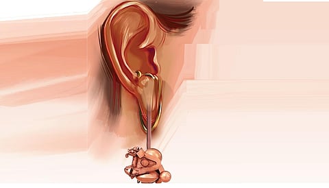 கலை: பாம்படம் ஆபரணமா, சிற்பமா?