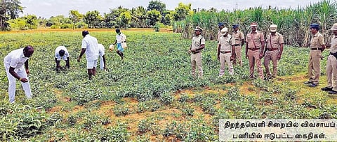 இயற்கை முறையில் காய்கறி விளைவிக்கும் கைதிகள் | சிவகங்கை
