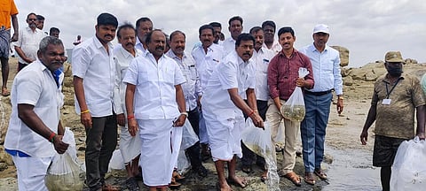 மேட்டூர் அணையில் மீன் வளம் பெருகிட கட்லா, ரோகு உள்ளிட்ட ரகங்களில் 6 லட்சம் மீன் குஞ்சுகள் விடுவிப்பு