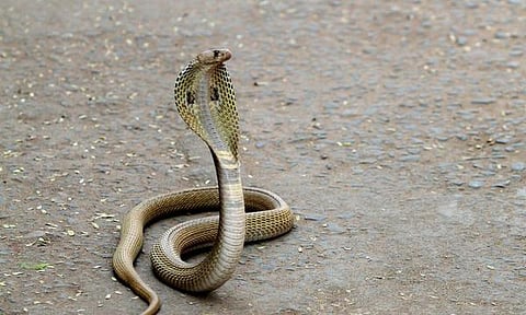 கோப்புப்படம்