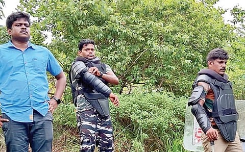 எலைட் படையுடன் தேடியும் சிக்காத புலி - பேச்சிப்பாறை வனப்பகுதியில் தொடரும் அச்சம்