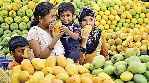ஜூலை 22: சர்வதேச மாம்பழ தினம் - நினைத்தாலே இனிக்கும் கனி