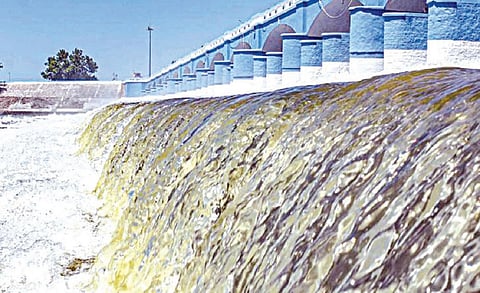 குறுவைக்குத் திறக்கும் காவிரி நீர் ஏன் வயலுக்கு வருவதில்லை?